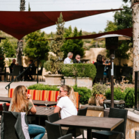 Guests enjoying wine on an outdoor winery patio, with shaded seating areas, surrounded by plants and trees.