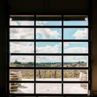 A view of a vineyard through a large industrial window, with two wine barrels in the foreground and a clear blue sky above.