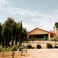 A beautiful winery building surrounded by a vineyard, with tall cypress trees lining the property and a clear blue sky in the background.