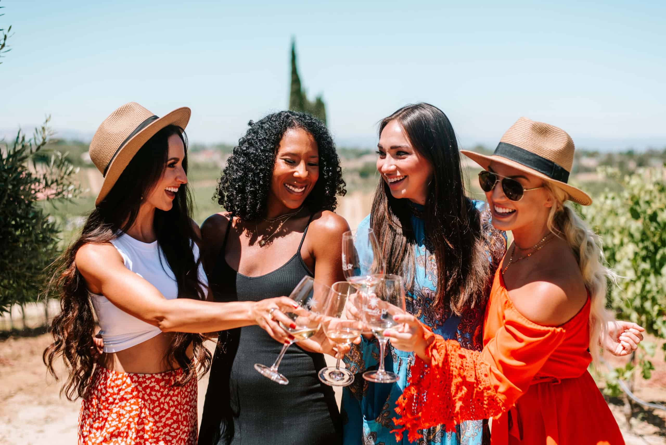 Group of girls bumping wine glasses at Danza Del Sol Winery