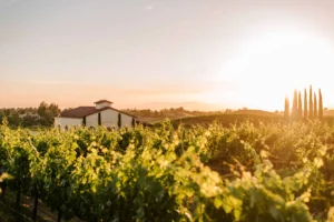 Sunset at Danza Del Sol Winery in Temecula Wine Country