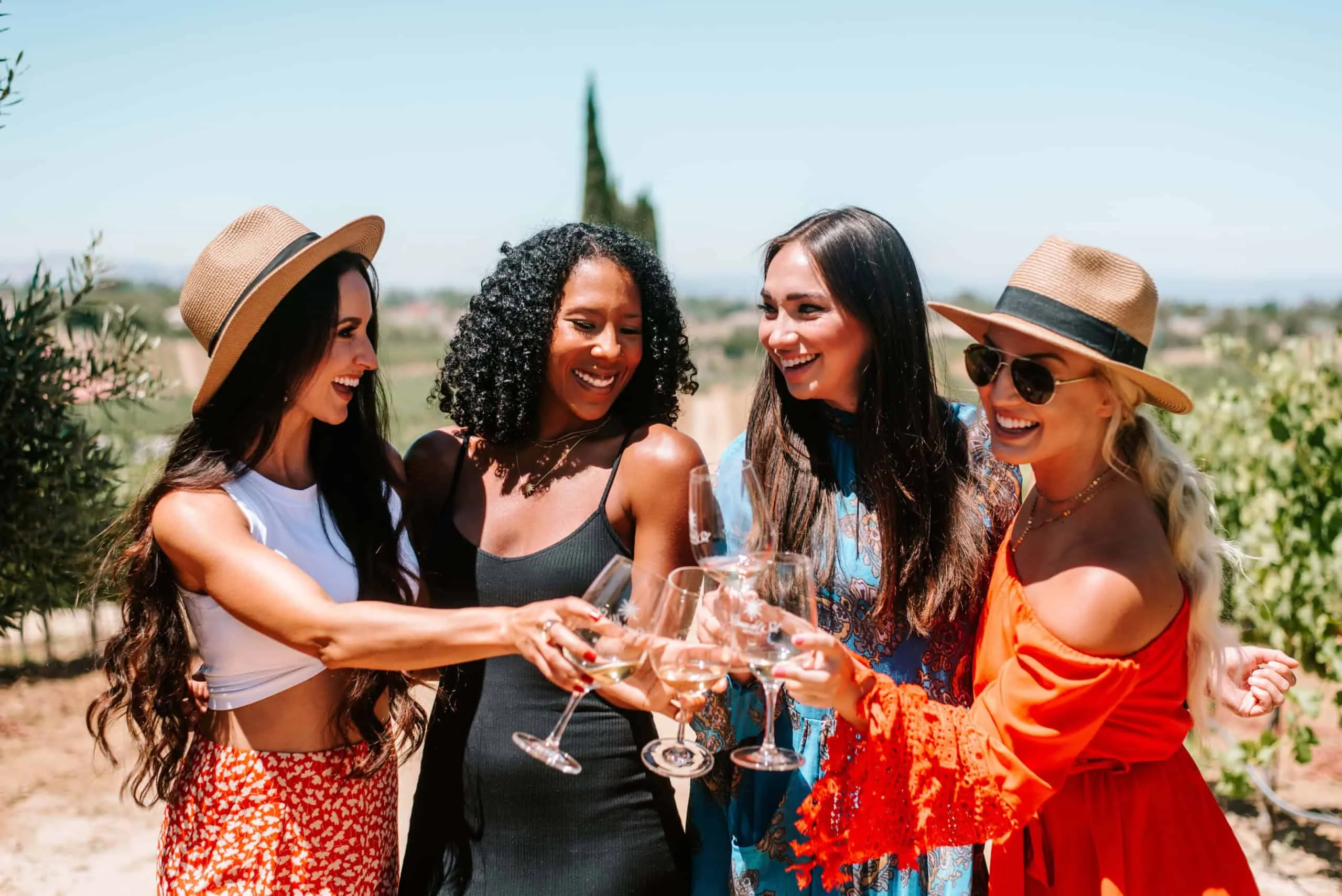 Group of girls toasting wine glasses at Danza Del Sol Winery vineyard