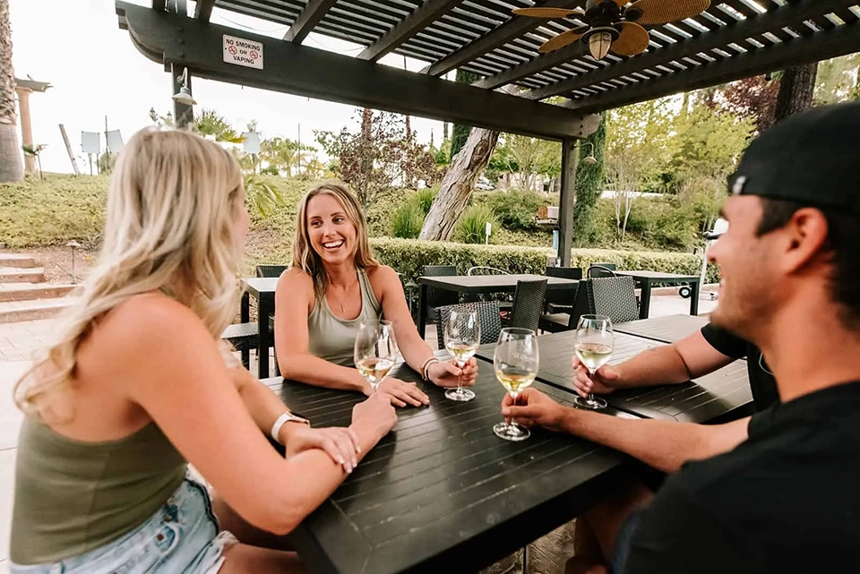 danzadel_sol_winery_wine_tasting_group-min