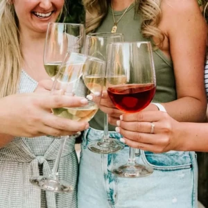 Group of visitors toasting at Danza Del Sol Winery in Temecula